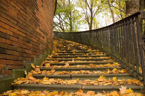 Stairs covered by leaves in autumn — Stock Photo, Image