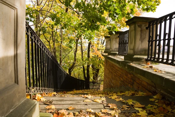 stock image Stairs covered by leaves