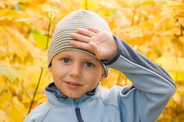 Happy boy gesturing in autumnal scenery — Stock Photo, Image