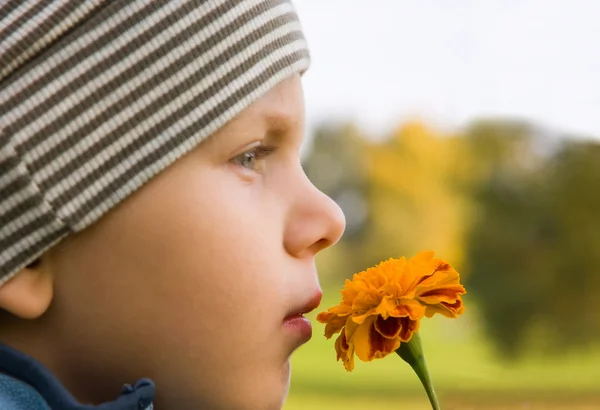Boy smelling flower in autumn — Stock Photo, Image