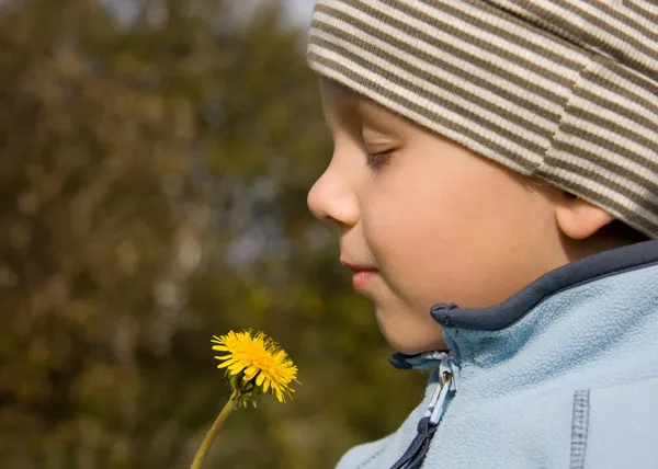 Boy smelling dandelion — Stock Photo, Image