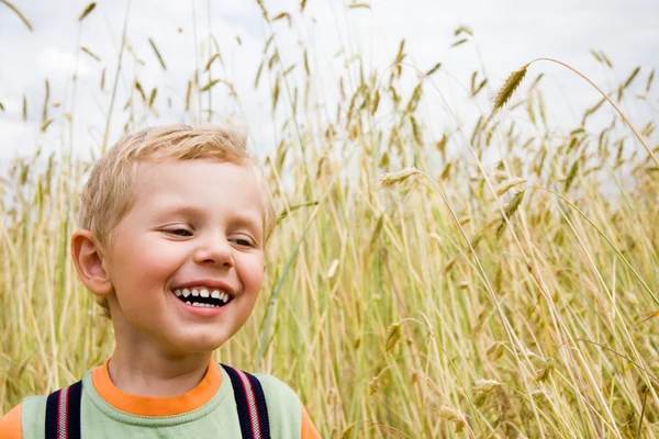 少年が麦畑のなかで笑いながら — ストック写真