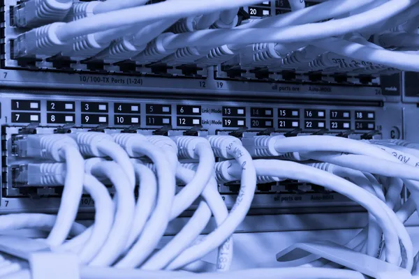 Cables de red conectados al conmutador — Foto de Stock