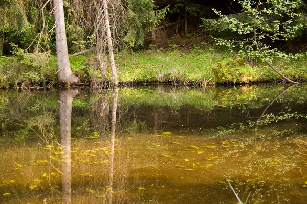 stock image Lake and forest reflection