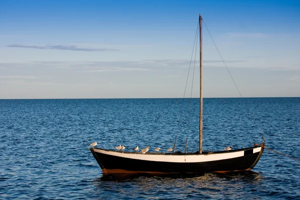 stock image Seagulls on fishing boat