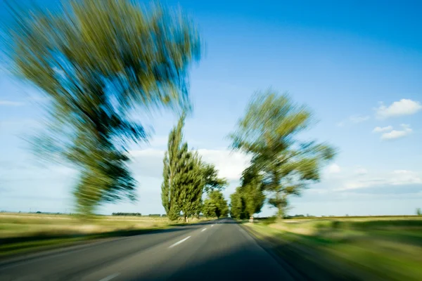 Yol ve ağaçları ile hareket bulanıklığı — Stok fotoğraf