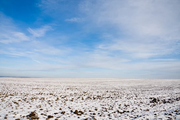 Feldschnee im Winter — Stockfoto