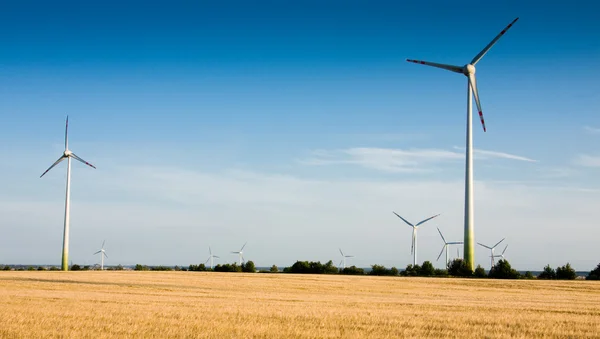 Vindkraftverk på ett fält — Stockfoto