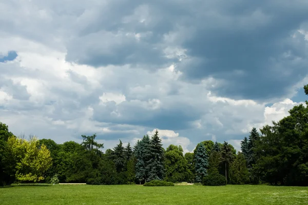 Náladový obloha nad stromy v parku — Stock fotografie