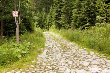 yolu hiçbir giriş işareti