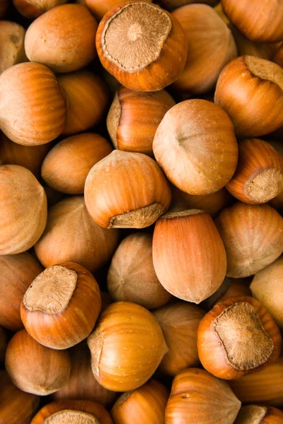 Pozadí lískové ořechy — Stock fotografie