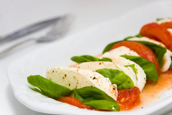 stock image Caprese salad on plate