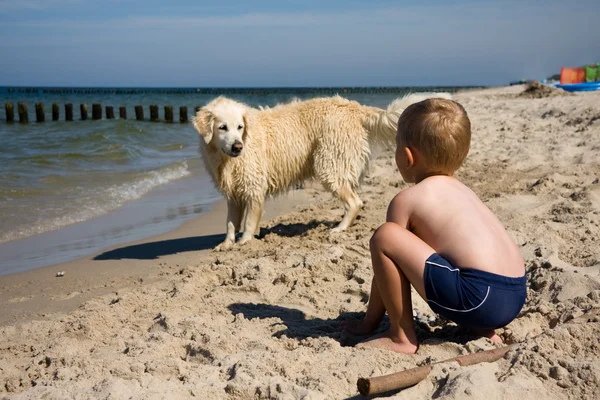 Αγόρι παιχνίδι με σκύλος στην παραλία — Φωτογραφία Αρχείου