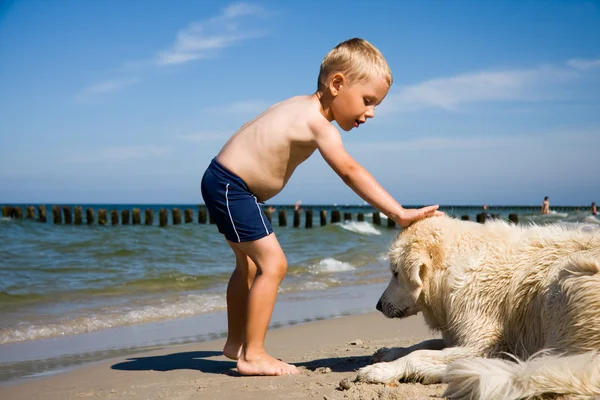 Boy Παίξτε με σκύλος στην παραλία — Φωτογραφία Αρχείου