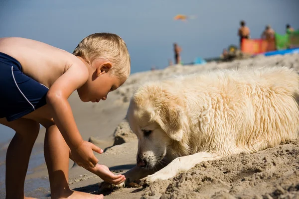 Menino brincar com cão na praia — Fotografia de Stock