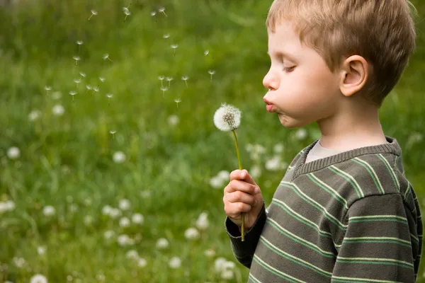 Small boy blowing dandelion — Stock Photo, Image