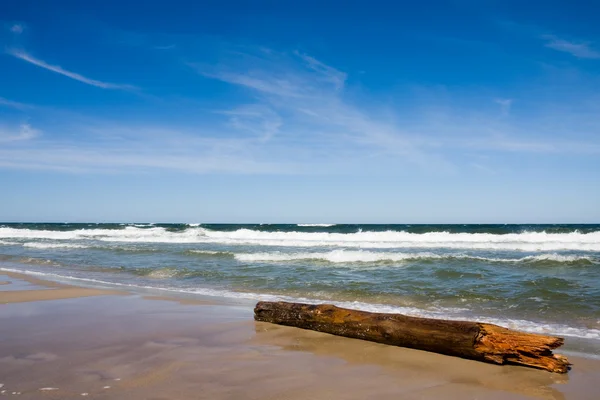 Landschap met kofferbak op strand — Stockfoto