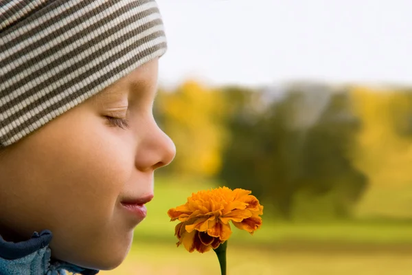 Junge riecht Blume — Stockfoto