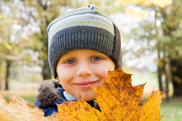 Kleiner Junge und gelbe Blätter — Stockfoto
