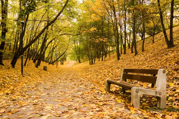 Bench on path in park — Stock Photo, Image