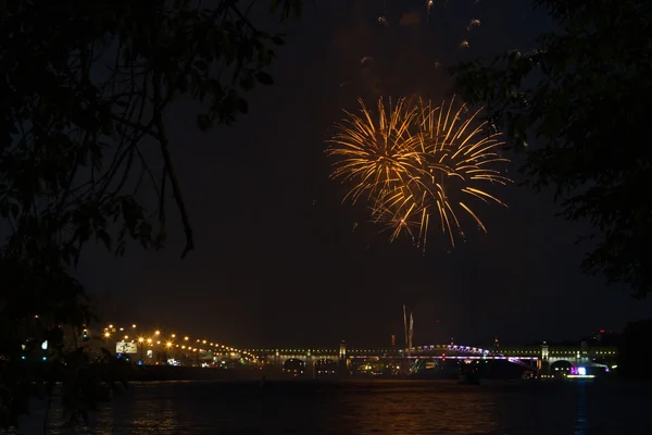 stock image Salute on quay