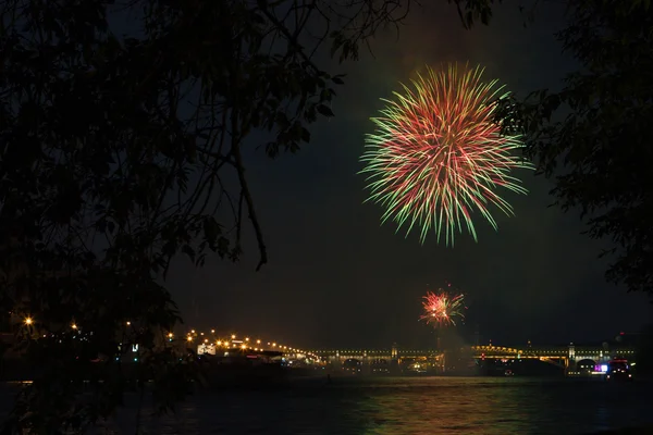 Stock image Fireworks