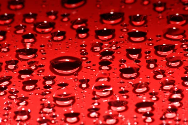 赤い液滴 — ストック写真