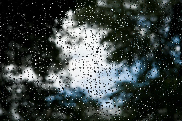 Gotas em uma janela — Fotografia de Stock