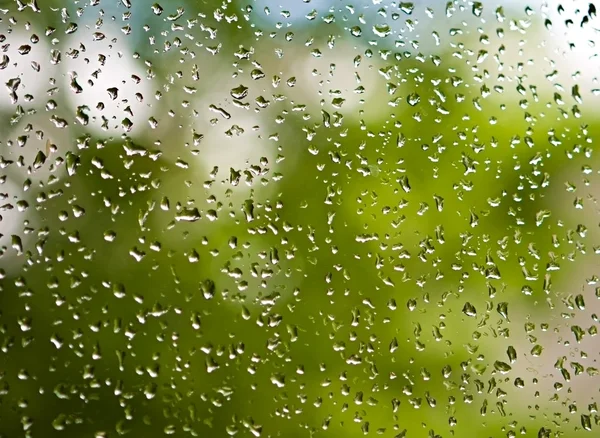 雨の滴 — ストック写真