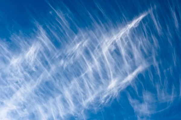 Belle nuvole plumose — Foto Stock