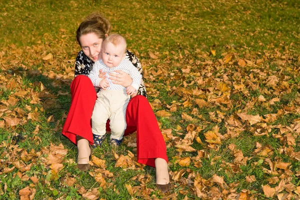 On a carpet from yellow leaves — Stock Photo, Image
