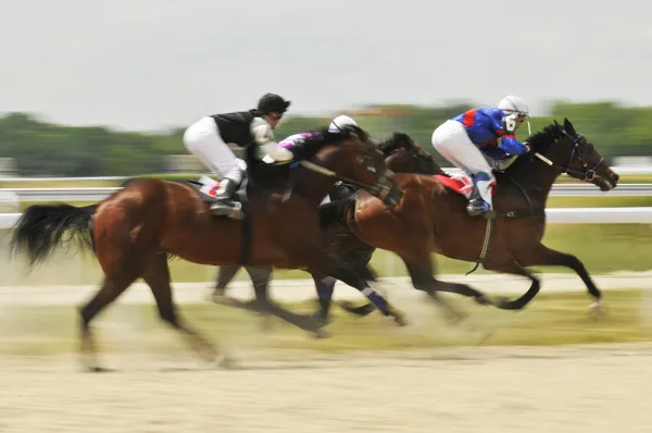 stock image Abstract Motion Blur Horse Race