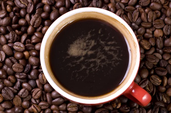 Kahvi ja kahvipavut — kuvapankkivalokuva