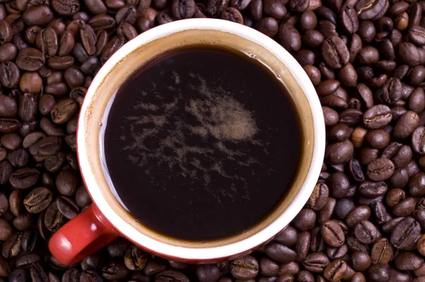 Kopi dan biji kopi — Stok Foto