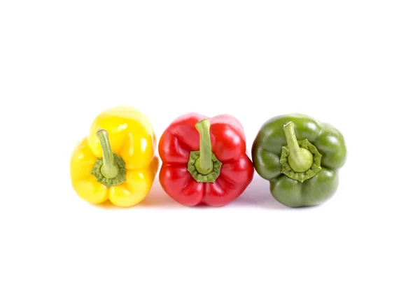 Colored paprika — Stock Photo, Image