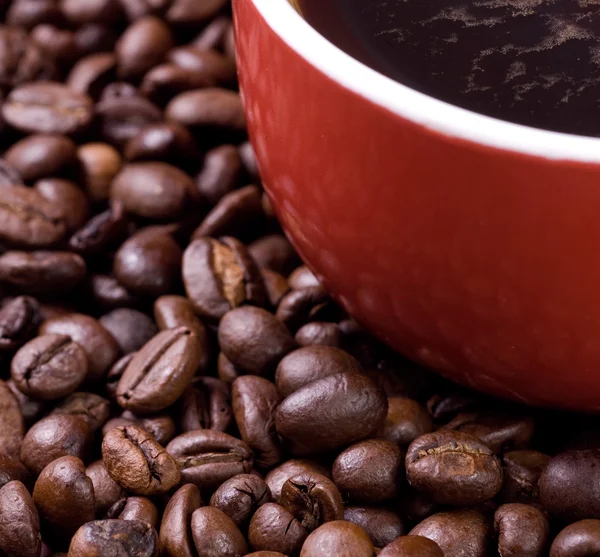 Kuppi kahvia ja kahvipapuja — kuvapankkivalokuva