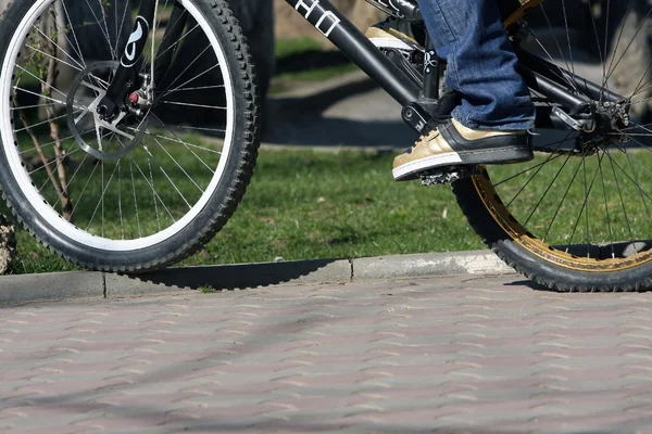 stock image Bicycle