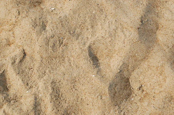 stock image Sand texture