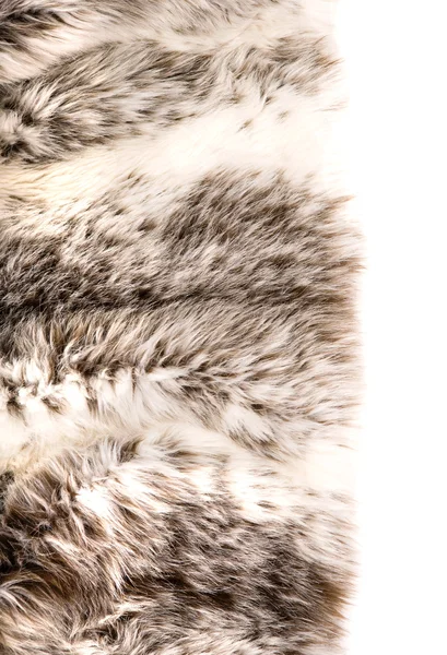 Fur cout — Stock Photo, Image