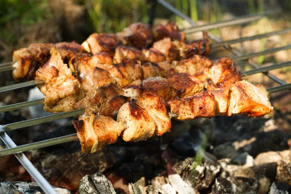 stock image Shishkebab