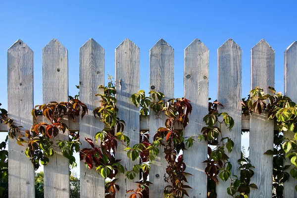 stock image Batten fence