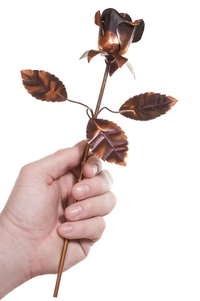 stock image Hand, rose