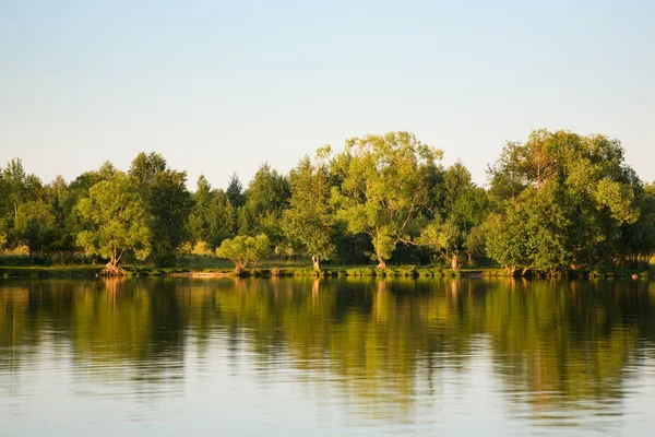 Jezero, stromy — Stock fotografie