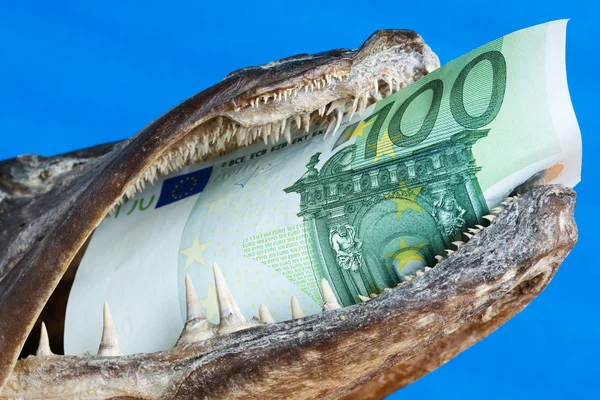 Mouth, euro, one — Stock Photo, Image
