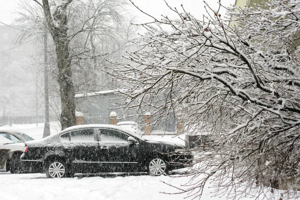 stock image Car,snowfallI,two