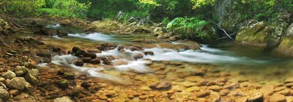 Mountain river (panorama) — Stock Photo, Image