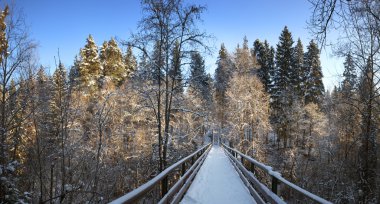 Snow covered footbridge. Panorama. clipart