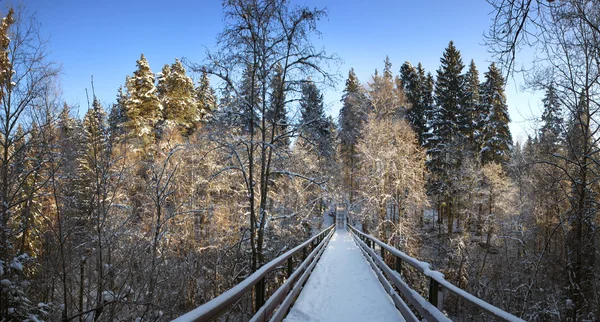 Kar kaplı yaya köprüsü. Panorama. — Stok fotoğraf