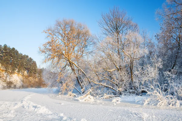 Nehir donmuş ağaçlar, hoarfrost, — Stok fotoğraf