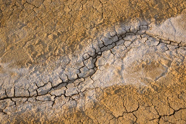 Cracks in a ground two — Stock Photo, Image